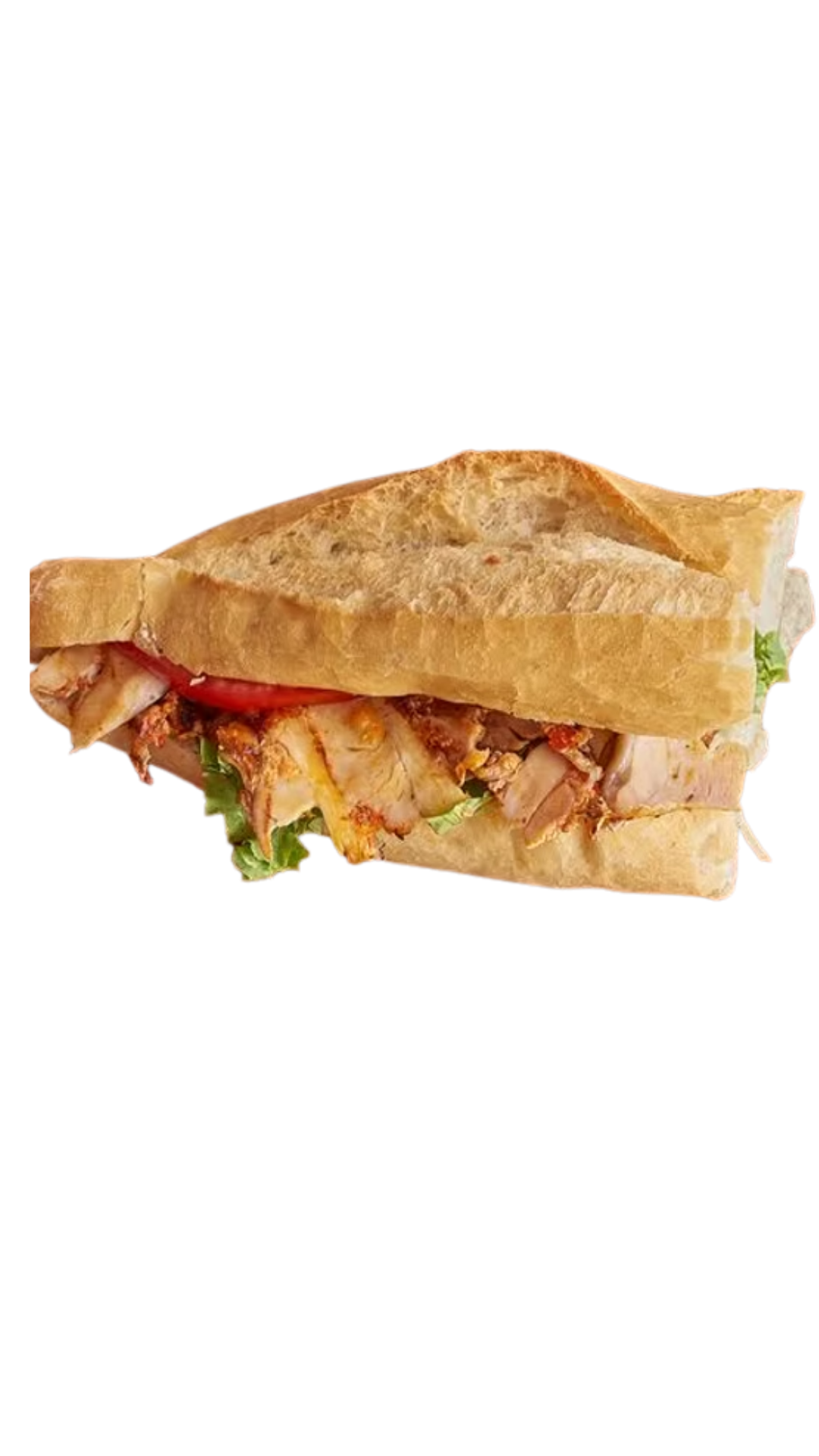 Tavuk Döner